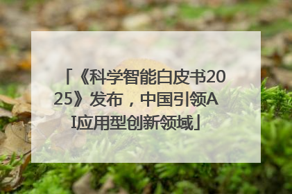 《科学智能白皮书2025》发布，中国引领AI应用型创新领域