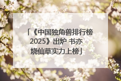 《中国独角兽排行榜2025》出炉 书亦烧仙草实力上榜
