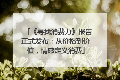 《寻找消费力》报告正式发布：从价格到价值，情感定义消费