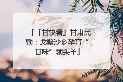 「甘快看」甘肃民勤：戈壁沙乡孕育“甘味”领头羊