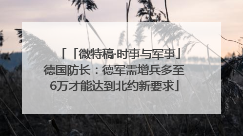 「微特稿·时事与军事」德国防长：德军需增兵多至6万才能达到北约新要求
