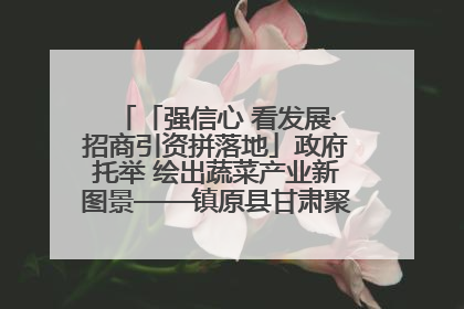 「强信心 看发展·招商引资拼落地」政府托举 绘出蔬菜产业新图景——镇原县甘肃聚广利现代设施蔬菜种植基地见闻