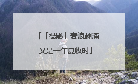 「摄影」麦浪翻涌 又是一年夏收时