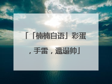 「楠楠自语」彩蛋，手雷，邋遢帅