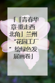 「青春华章·重走西北角」兰州“花园工厂”绘绿色发展画卷