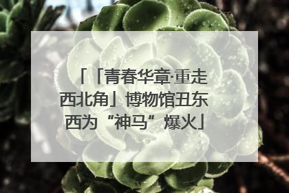 「青春华章·重走西北角」博物馆丑东西为“神马”爆火