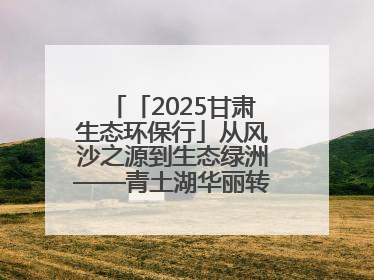 「2025甘肃生态环保行」从风沙之源到生态绿洲——青土湖华丽转身书写生态新篇