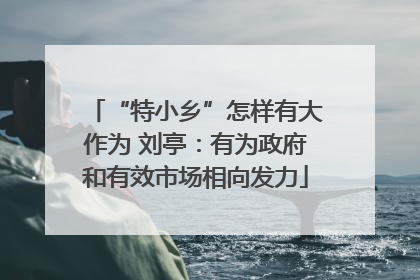 “特小乡”怎样有大作为 刘亭：有为政府和有效市场相向发力