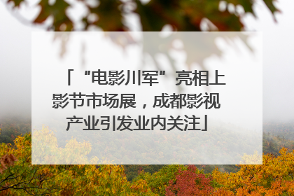 “电影川军”亮相上影节市场展，成都影视产业引发业内关注
