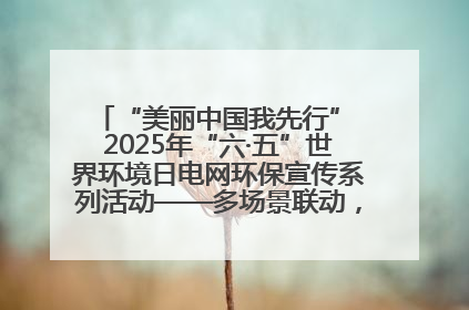 “美丽中国我先行” 2025年“六·五”世界环境日电网环保宣传系列活动——多场景联动，共筑生态发展新图景