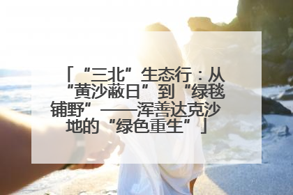 “三北”生态行：从“黄沙蔽日”到“绿毯铺野”——浑善达克沙地的“绿色重生”