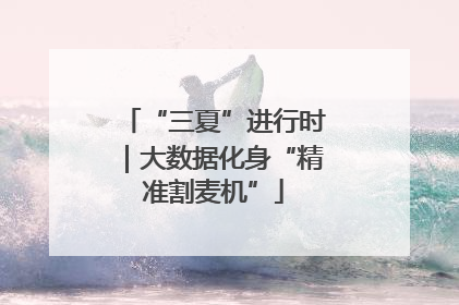 “三夏”进行时｜大数据化身“精准割麦机”