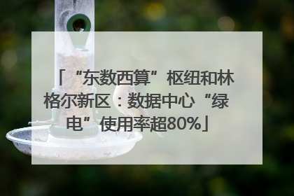 “东数西算”枢纽和林格尔新区：数据中心“绿电”使用率超80%
