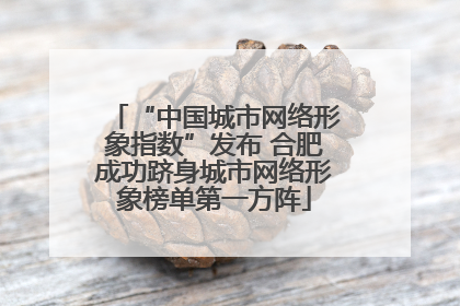 “中国城市网络形象指数”发布 合肥成功跻身城市网络形象榜单第一方阵