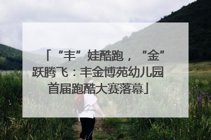 “丰”娃酷跑，“金”跃腾飞：丰金博苑幼儿园首届跑酷大赛落幕