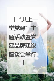“共上一堂党课”主题活动暨党建品牌建设座谈会举行