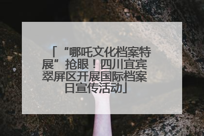 “哪吒文化档案特展”抢眼！四川宜宾翠屏区开展国际档案日宣传活动