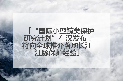 “国际小型鲸类保护研究计划”在汉发布，将向全球推介落地长江江豚保护经验