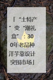 “土特产”变“潮礼盒”：300年老品种洋芋靠设计突围市场