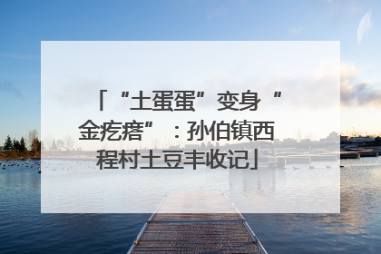 “土蛋蛋”变身“金疙瘩”：孙伯镇西程村土豆丰收记