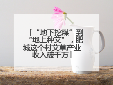 “地下挖煤”到“地上种艾”，肥城这个村艾草产业收入破千万