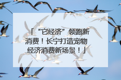 “它经济”领跑新消费！长宁打造宠物经济消费新场景！