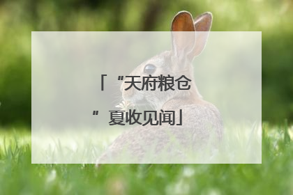 “天府粮仓”夏收见闻