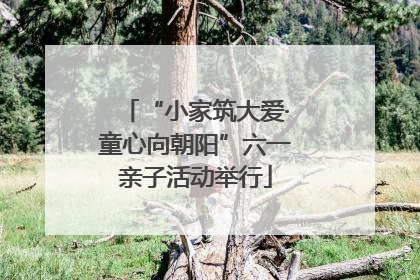 “小家筑大爱·童心向朝阳”六一亲子活动举行