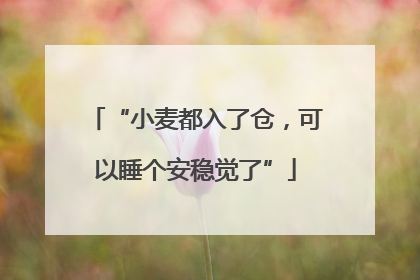 “小麦都入了仓，可以睡个安稳觉了”