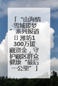 “山海情·雪域援梦”系列报道⑪ 潍坊1300万援藏资金，守护藏区群众健康“最后一公里”