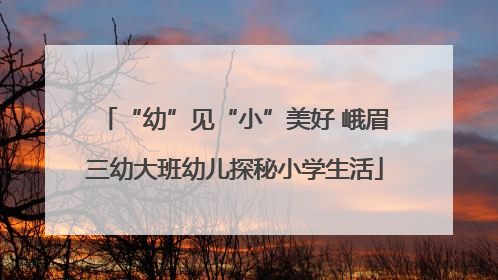 “幼”见“小”美好 峨眉三幼大班幼儿探秘小学生活