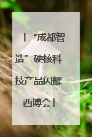“成都智造”硬核科技产品闪耀西博会