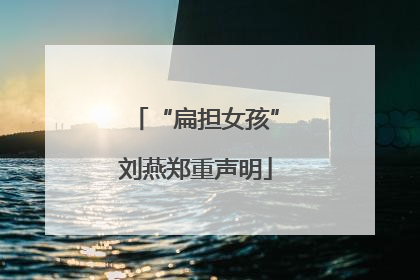 “扁担女孩”刘燕郑重声明