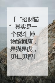 “招财猫”其实是一个熨斗 博物馆回应：是猫是虎，见仁见智