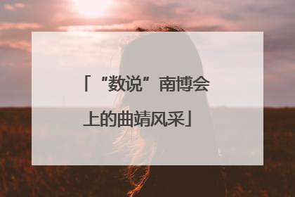 “数说”南博会上的曲靖风采
