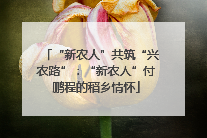 “新农人”共筑“兴农路”：“新农人”付鹏程的稻乡情怀