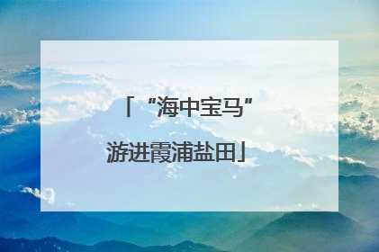 “海中宝马”游进霞浦盐田