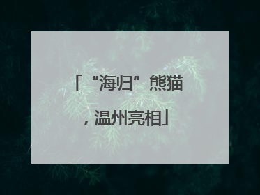 “海归”熊猫，温州亮相