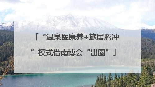 “温泉医康养+旅居腾冲”模式借南博会“出圈”