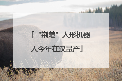 “荆楚”人形机器人今年在汉量产