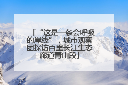 “这是一条会呼吸的岸线”，城市观察团探访百里长江生态廊道青山段