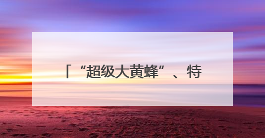 “超级大黄蜂”、特色涂装苏-30MKM 众多明星装备亮相