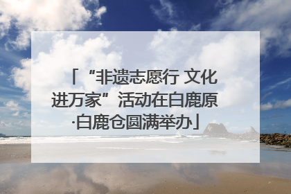“非遗志愿行 文化进万家”活动在白鹿原·白鹿仓圆满举办