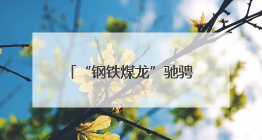 “钢铁煤龙”驰骋盛夏 “保供赛道”——七台河站电煤保供跑出迎峰度夏 “加速度”