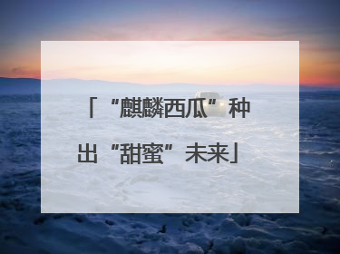 “麒麟西瓜”种出“甜蜜”未来