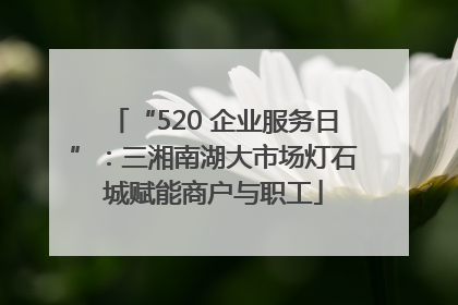 “520 企业服务日”：三湘南湖大市场灯石城赋能商户与职工