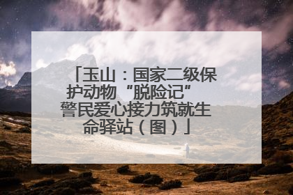 玉山：国家二级保护动物“脱险记” 警民爱心接力筑就生命驿站（图）