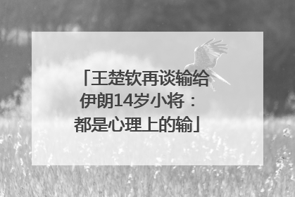 王楚钦再谈输给伊朗14岁小将：都是心理上的输