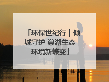 环保世纪行｜倾城守护 巢湖生态环境新蝶变