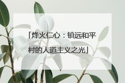 烽火仁心：镇远和平村的人道主义之光
